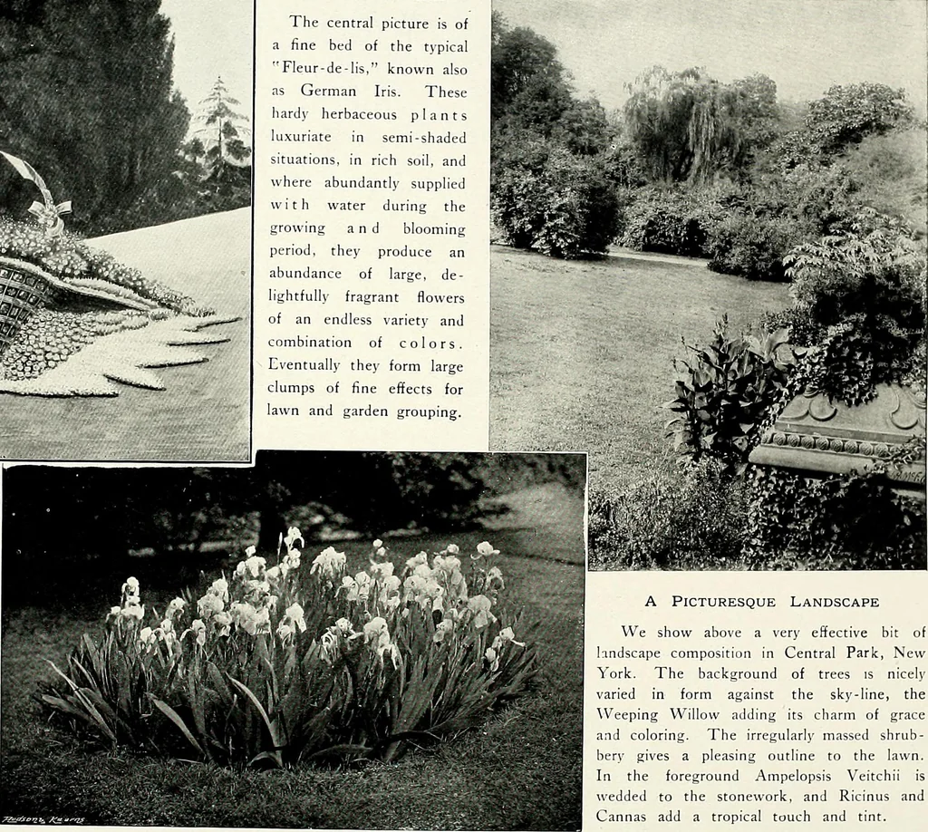 An illustration from Henderson's picturesque gardens and ornamental gardening illustrated, 1908, leaf 44
