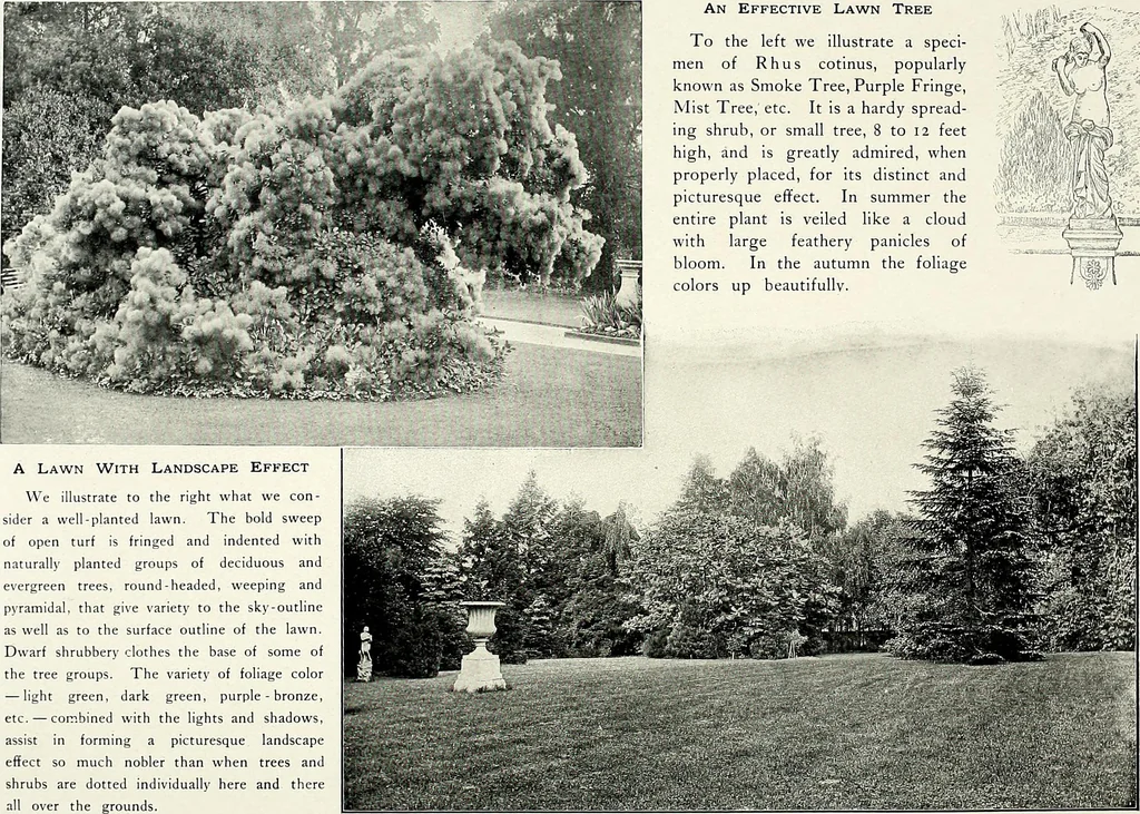 An illustration from Henderson's picturesque gardens and ornamental gardening illustrated, 1908, leaf 49