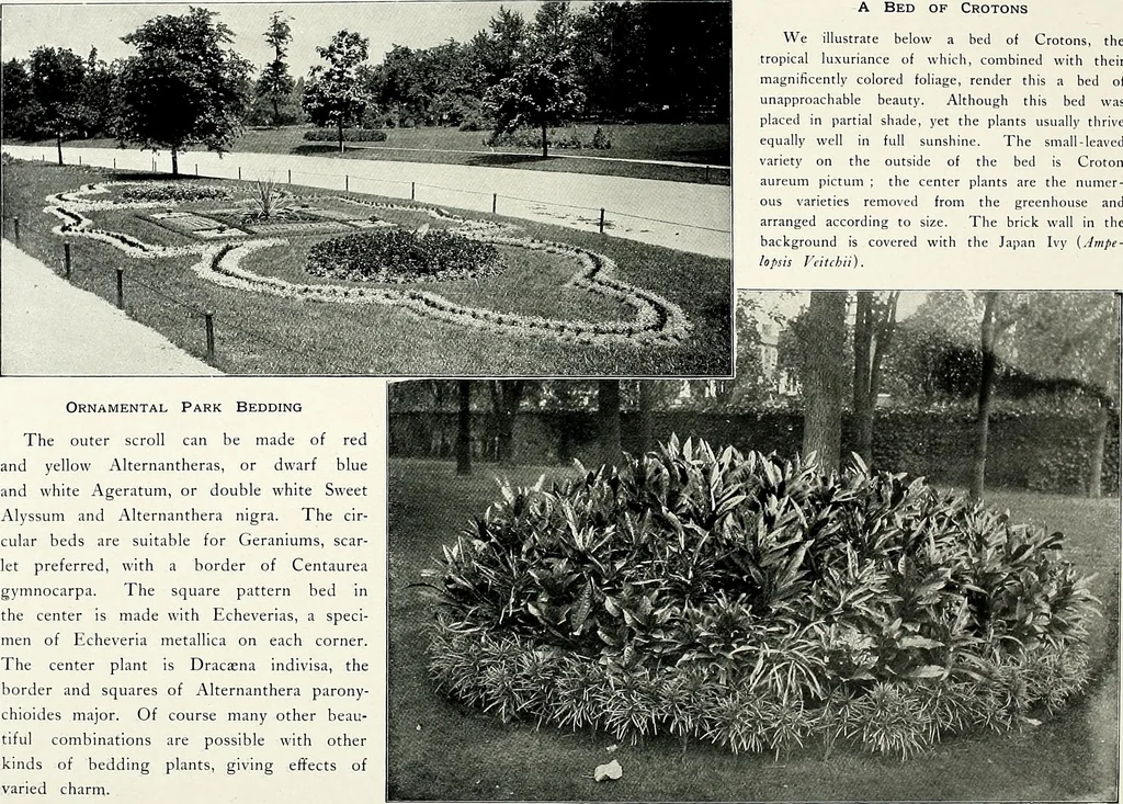 An illustration from Henderson's picturesque gardens and ornamental gardening illustrated, 1908, leaf 50