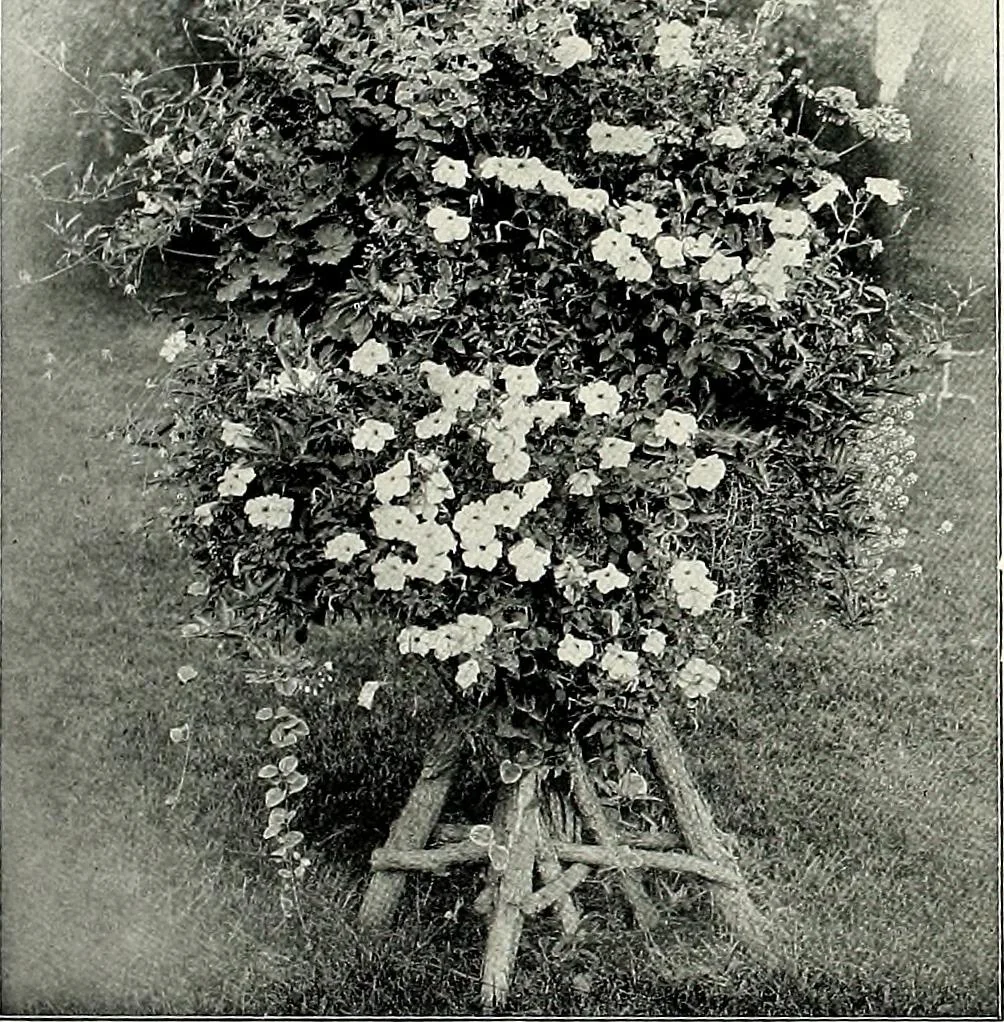 An illustration from Henderson's picturesque gardens and ornamental gardening illustrated, 1908, leaf 52