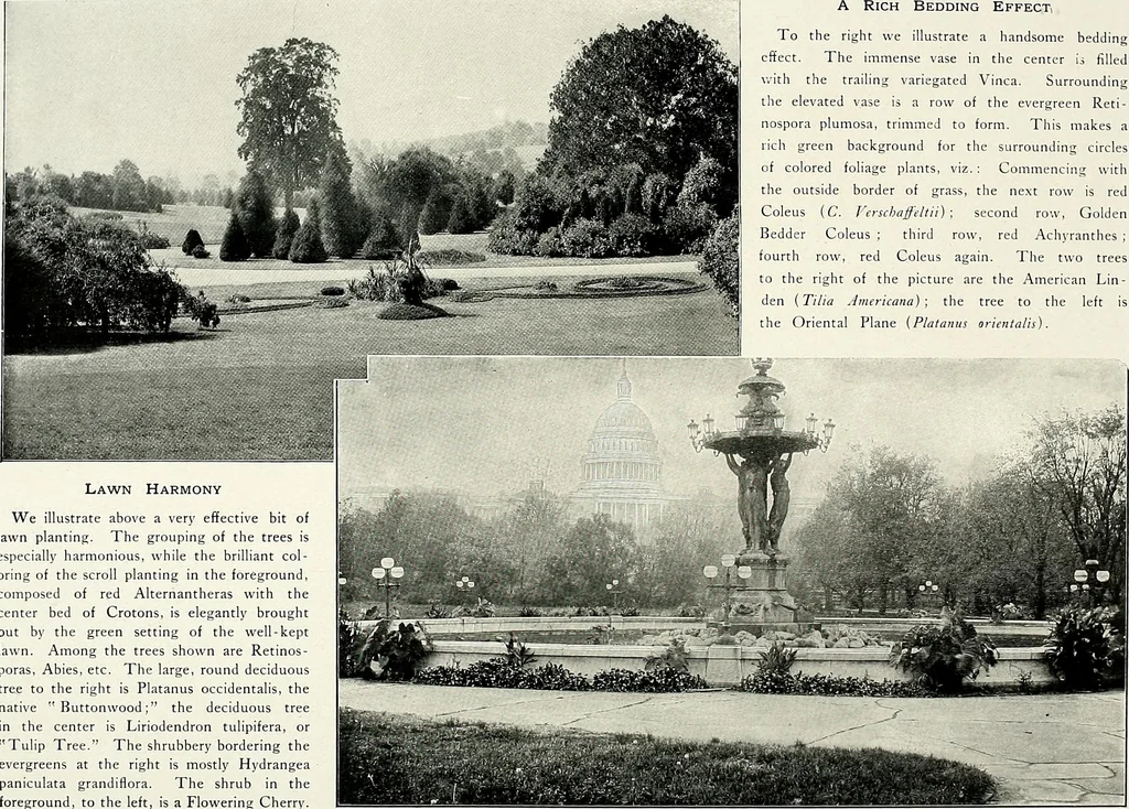 An illustration from Henderson's picturesque gardens and ornamental gardening illustrated, 1908, leaf 53