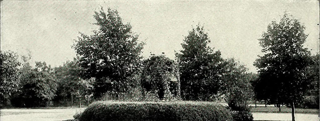 An illustration from Henderson's picturesque gardens and ornamental gardening illustrated, 1908, leaf 54