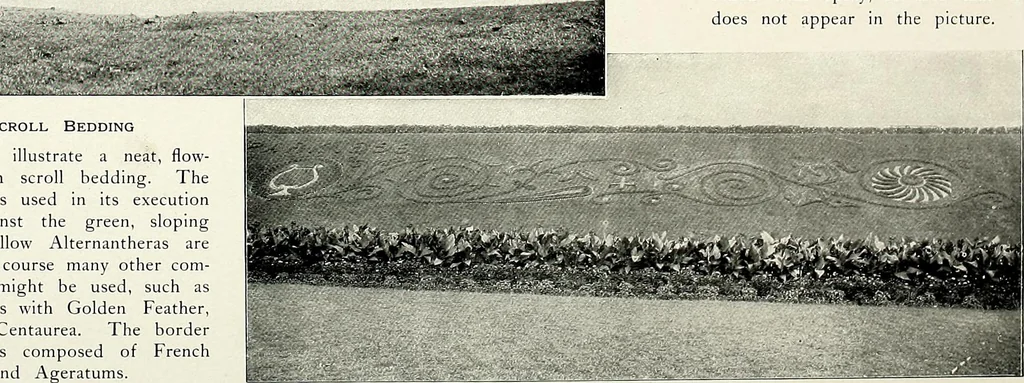 An illustration from Henderson's picturesque gardens and ornamental gardening illustrated, 1908, leaf 54