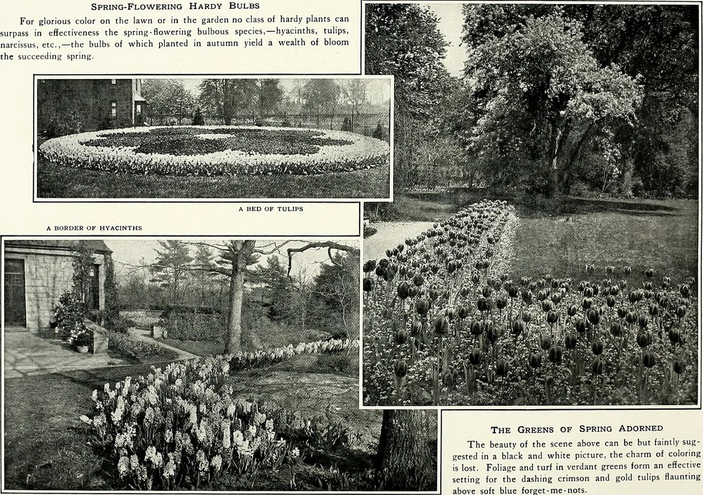 An illustration from Henderson's picturesque gardens and ornamental gardening illustrated, 1908, leaf 56