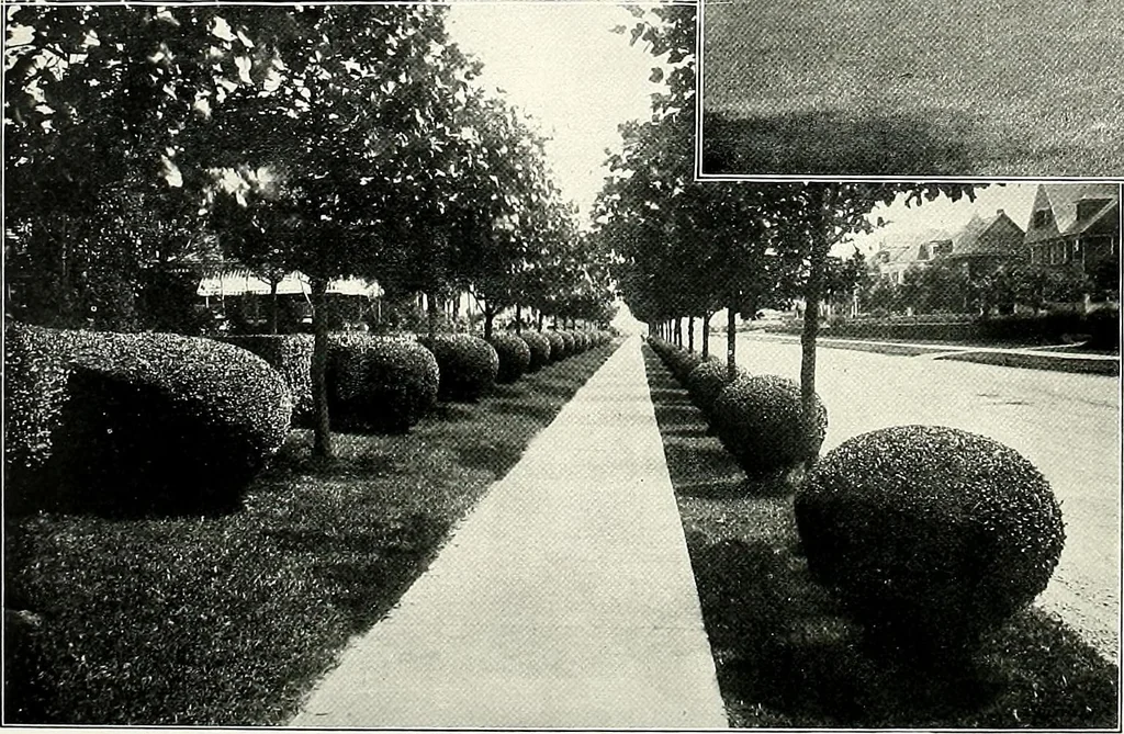 An illustration from Henderson's picturesque gardens and ornamental gardening illustrated, 1908, leaf 57
