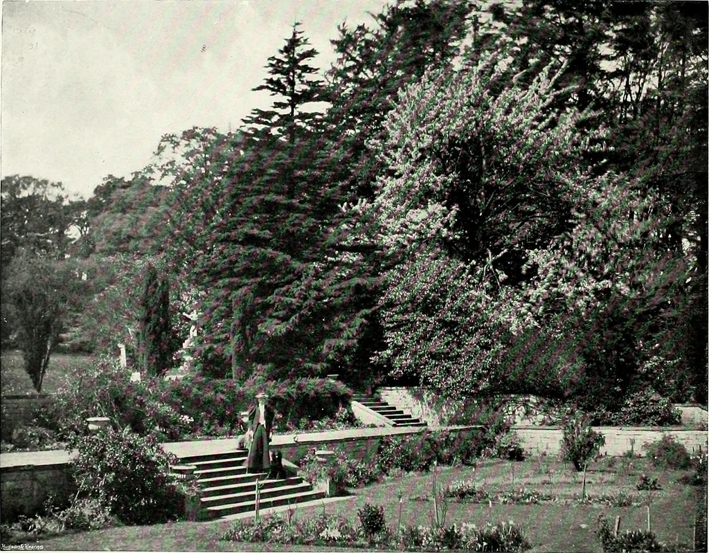 An illustration from Henderson's picturesque gardens and ornamental gardening illustrated, 1908, leaf 67