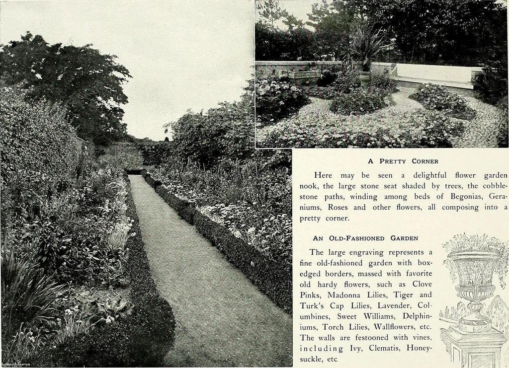 An illustration from Henderson's picturesque gardens and ornamental gardening illustrated, 1908, leaf 73