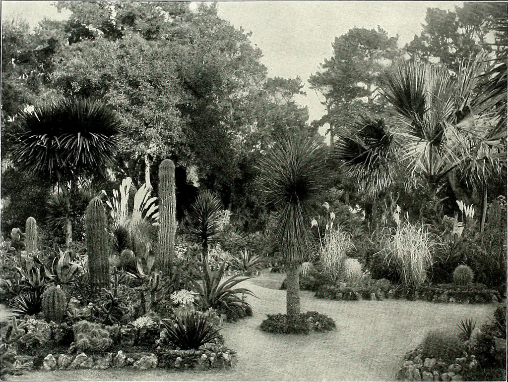 An illustration from Henderson's picturesque gardens and ornamental gardening illustrated, 1908, leaf 78