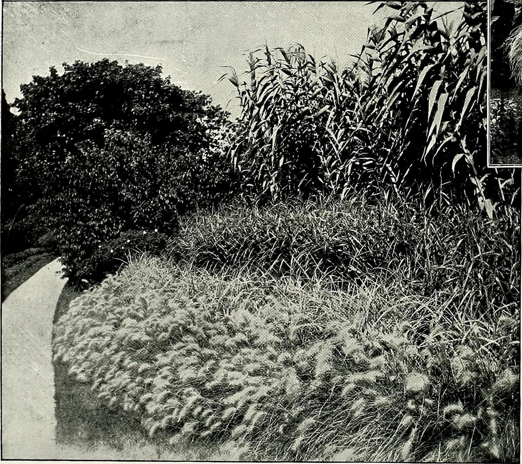 An illustration from Henderson's picturesque gardens and ornamental gardening illustrated, 1908, leaf 79