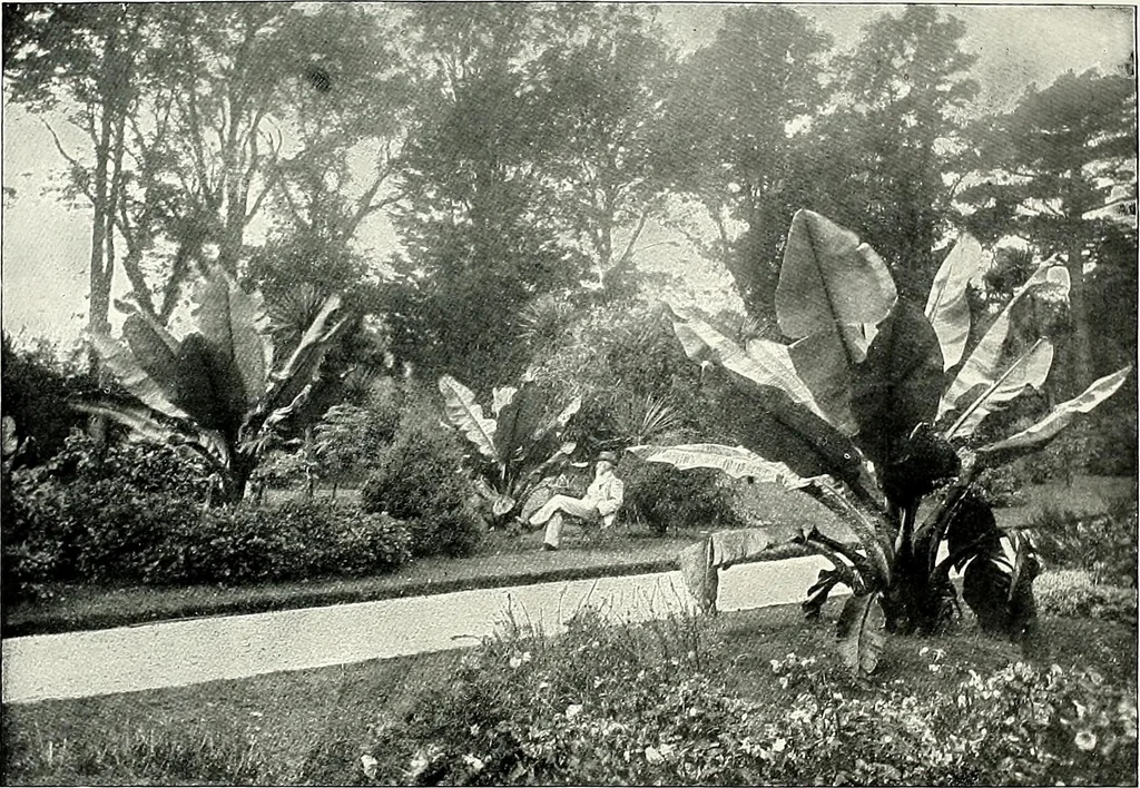 An illustration from Henderson's picturesque gardens and ornamental gardening illustrated, 1908, leaf 82