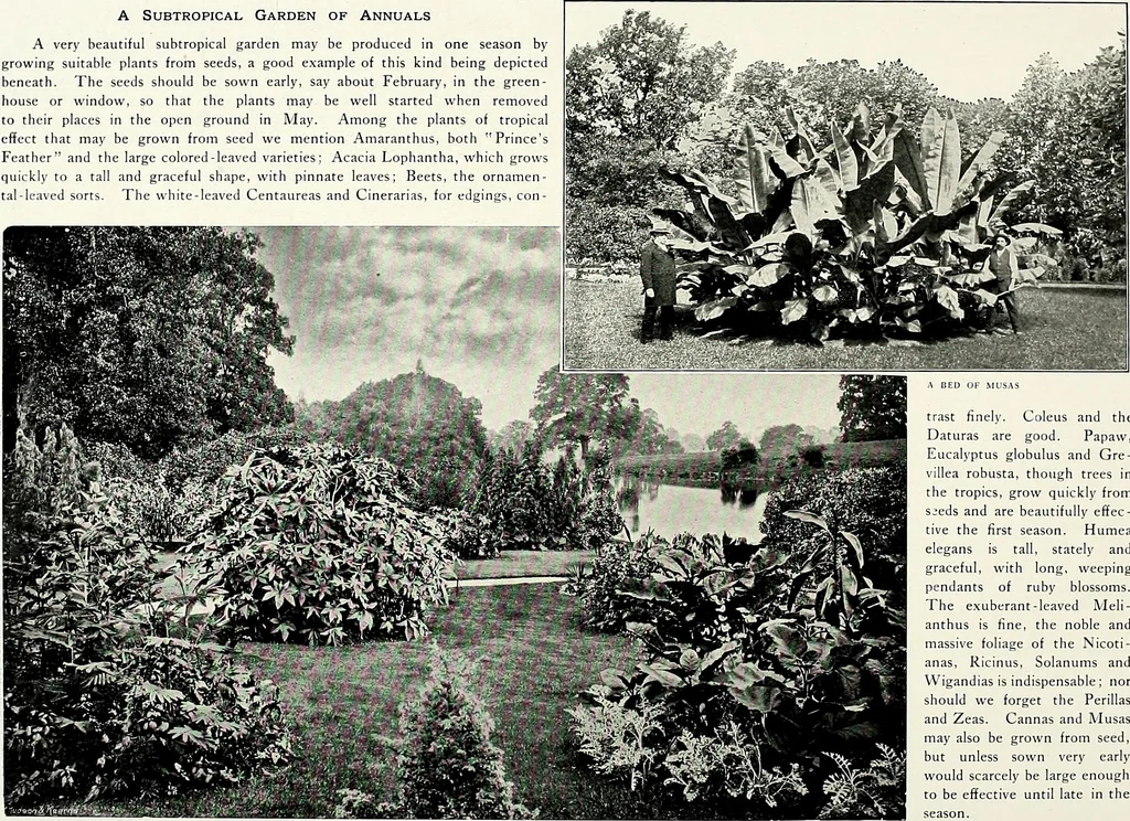 An illustration from Henderson's picturesque gardens and ornamental gardening illustrated, 1908, leaf 83