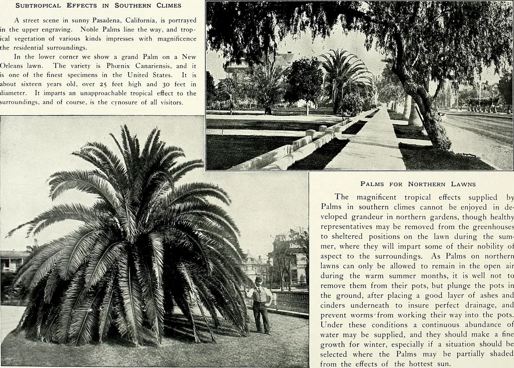 An illustration from Henderson's picturesque gardens and ornamental gardening illustrated, 1908, leaf 84
