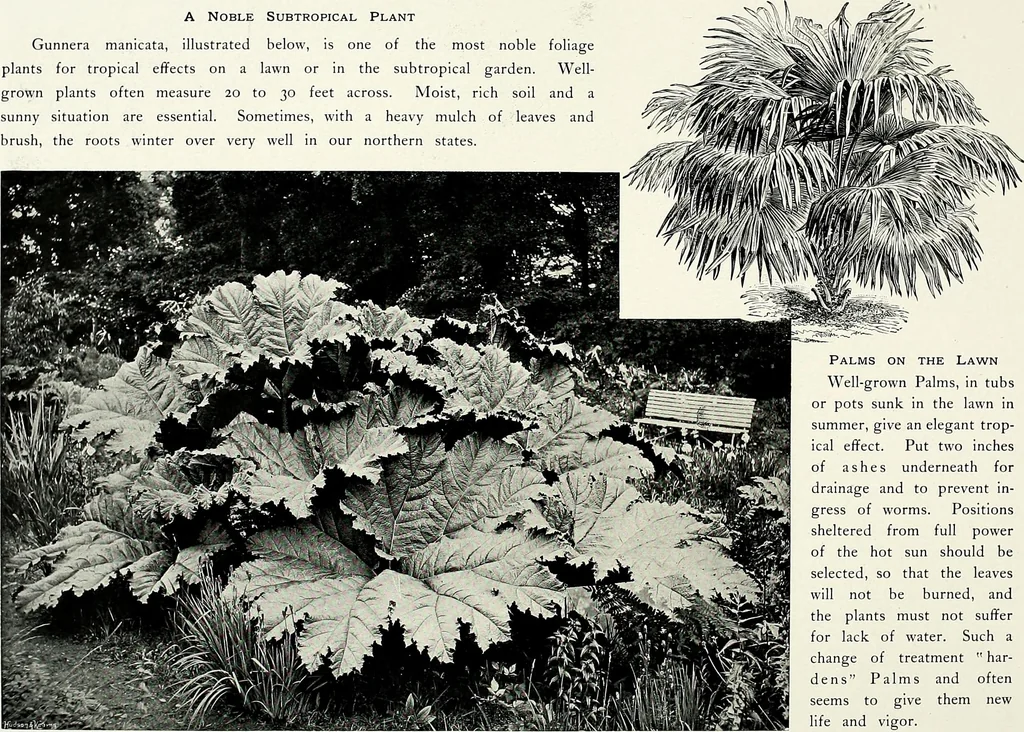 An illustration from Henderson's picturesque gardens and ornamental gardening illustrated, 1908, leaf 85