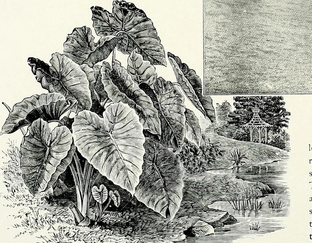 An illustration from Henderson's picturesque gardens and ornamental gardening illustrated, 1908, leaf 86