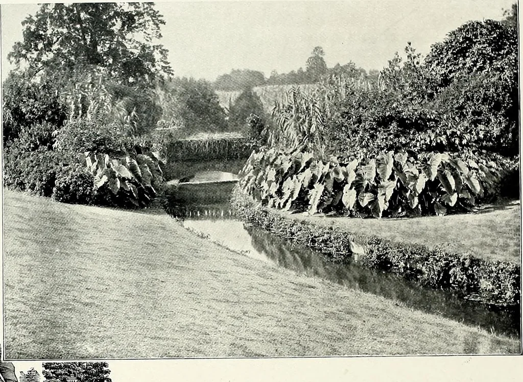 An illustration from Henderson's picturesque gardens and ornamental gardening illustrated, 1908, leaf 86