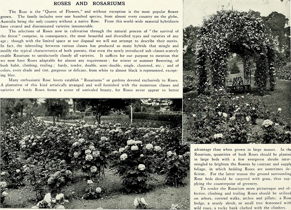 An illustration from Henderson's picturesque gardens and ornamental gardening illustrated, 1908, leaf 87