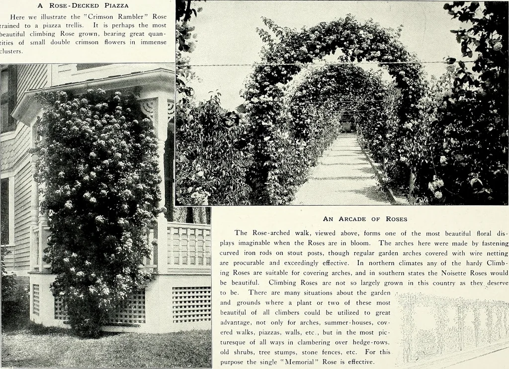 An illustration from Henderson's picturesque gardens and ornamental gardening illustrated, 1908, leaf 88