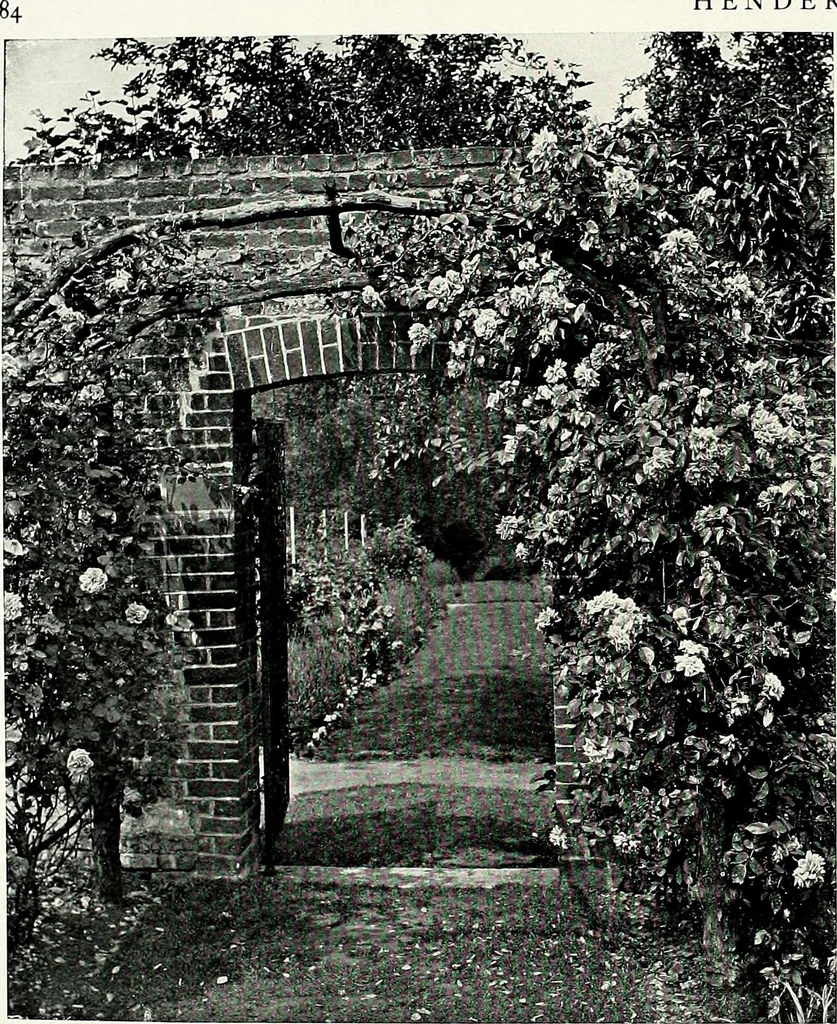 An illustration from Henderson's picturesque gardens and ornamental gardening illustrated, 1908, leaf 89