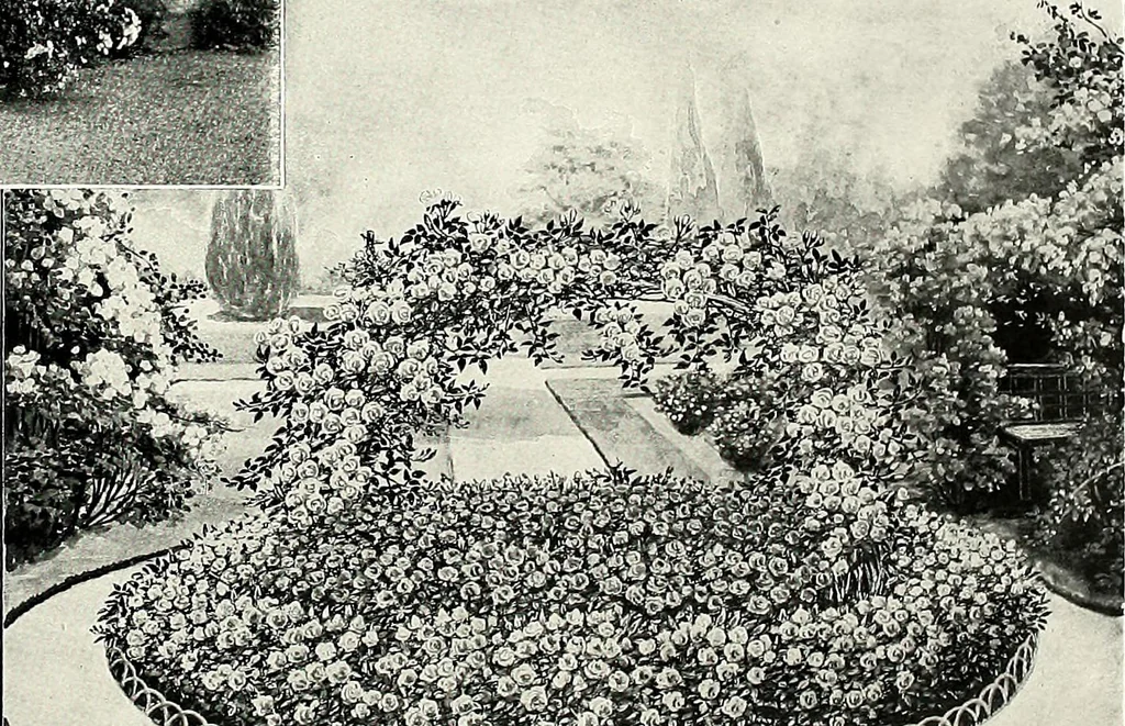 An illustration from Henderson's picturesque gardens and ornamental gardening illustrated, 1908, leaf 93