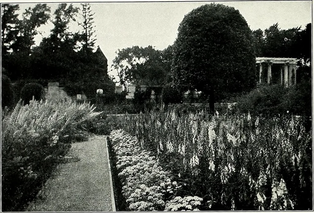 An illustration from Henderson's picturesque gardens and ornamental gardening illustrated, 1908, leaf 96