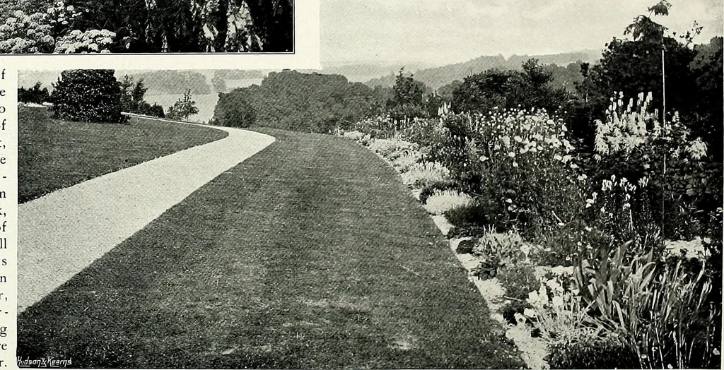 An illustration from Henderson's picturesque gardens and ornamental gardening illustrated, 1908, leaf 96