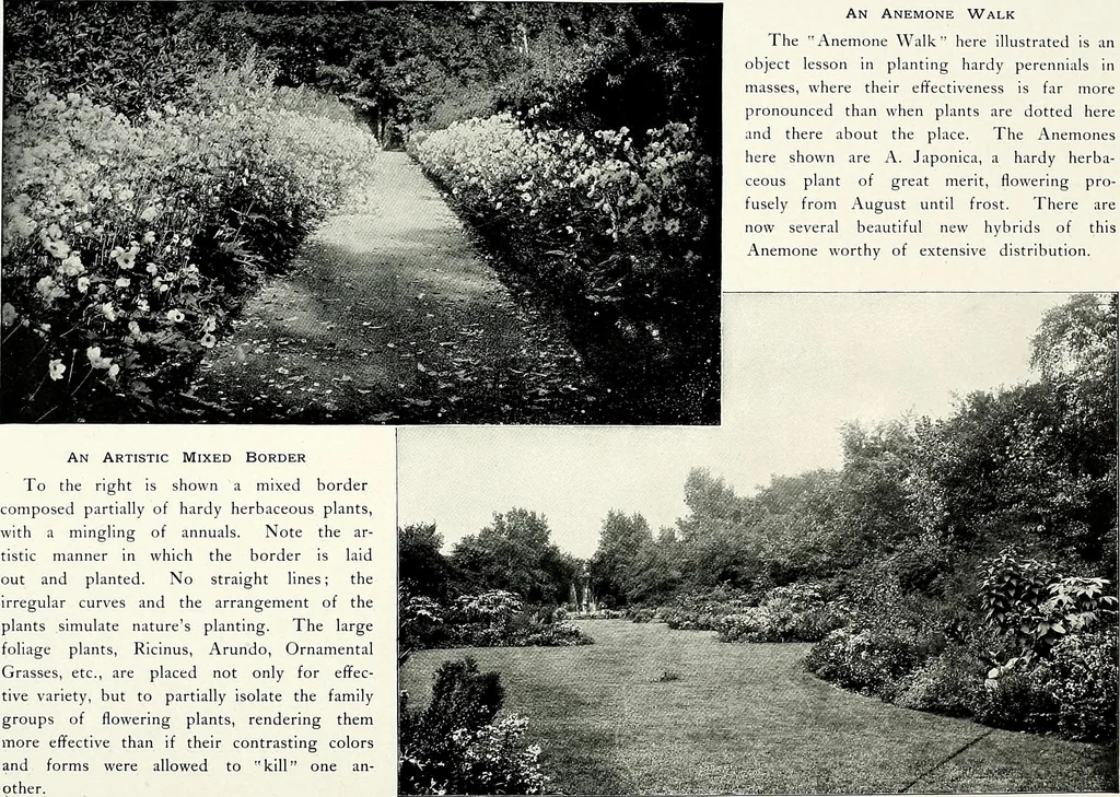 An illustration from Henderson's picturesque gardens and ornamental gardening illustrated, 1908, leaf 97