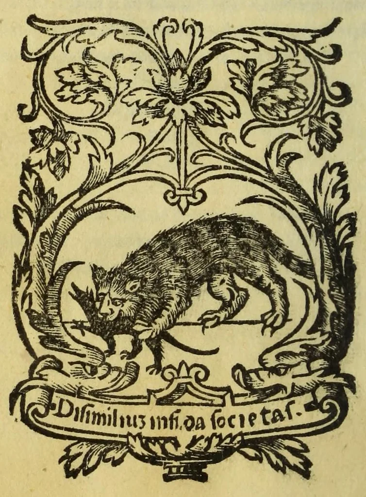 An illustration from Henrici Glareani Helvetii poetae laureati de geographia liber unus, 1538, leaf 84