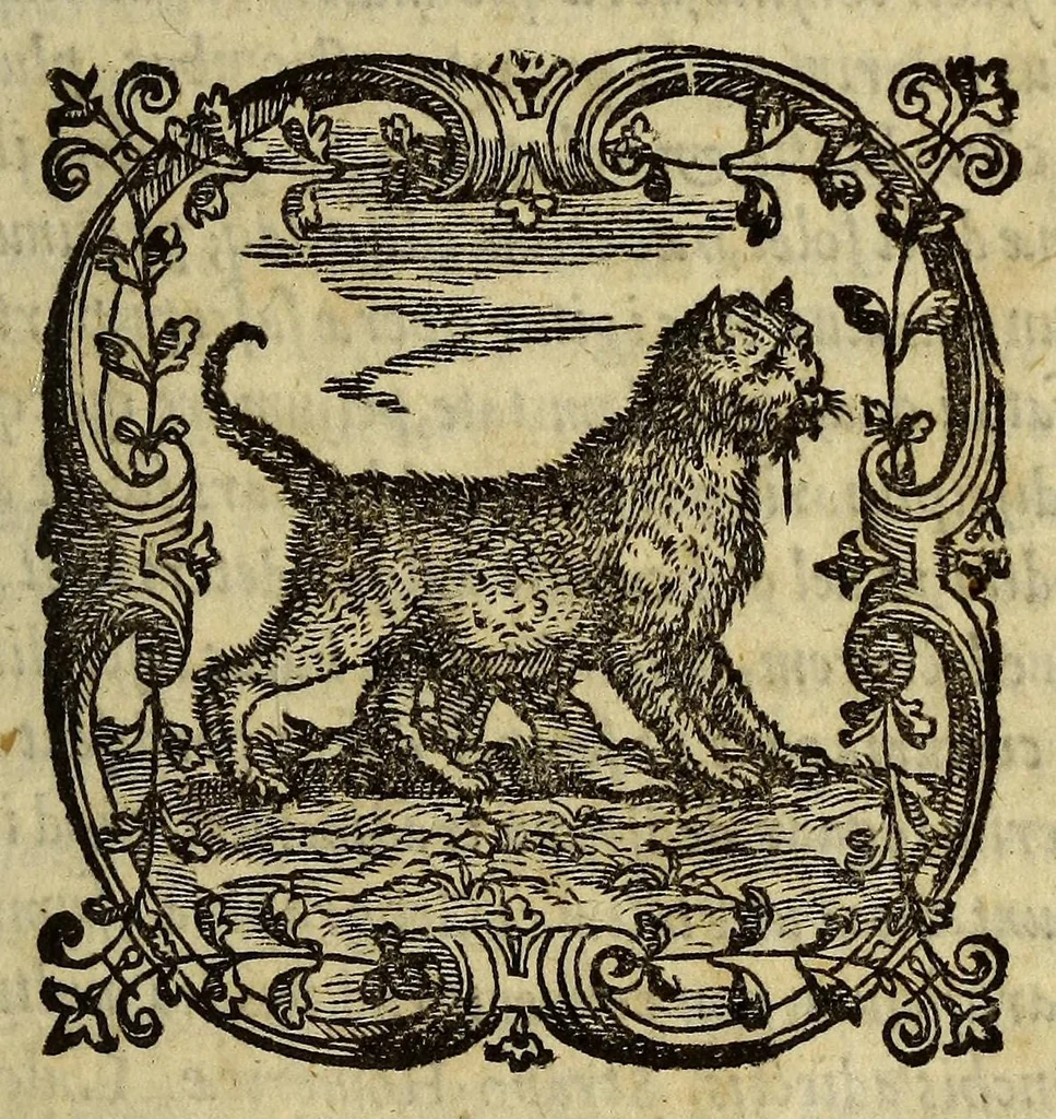 An illustration from Henrici Glareani Heluetii poetae laureati de geographia liber unus, 1549, leaf 11