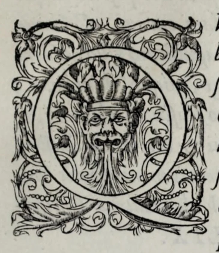 An illustration from Henrici II. Galliarvm regis elogivm : cvm eivs verissime expressa effigie, 1560, leaf 11