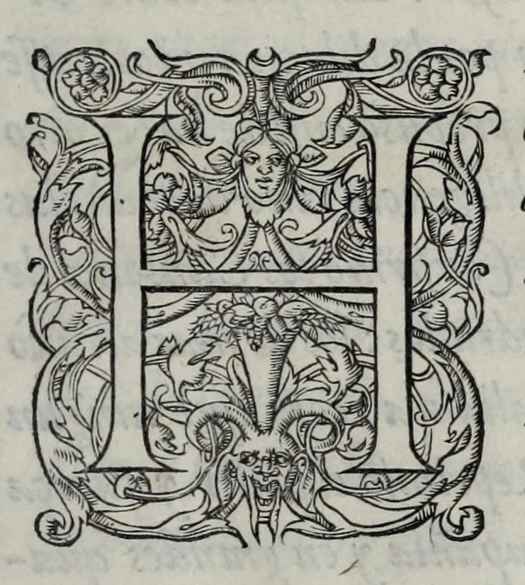 An illustration from Henrici II. Galliarvm regis elogivm : cvm eivs verissime expressa effigie, 1560, leaf 77