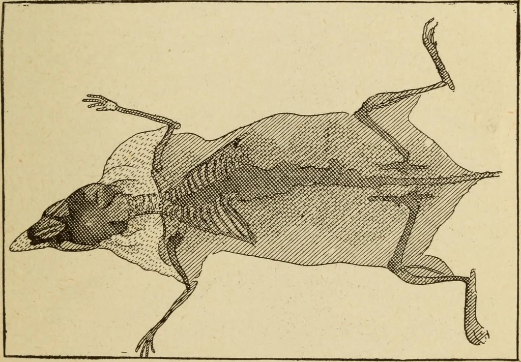 An illustration from Henry and Hora's modern electricity; a practical working encyclopedia, 1915, leaf 310