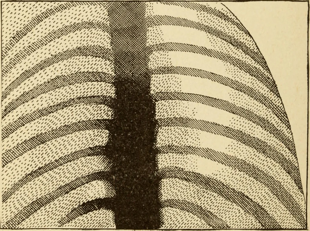 An illustration from Henry and Hora's modern electricity; a practical working encyclopedia, 1915, leaf 311