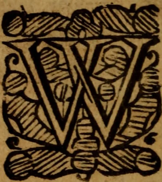 An illustration from He probole tes aletheias, or, The bul-warke of truth : being a treatise of God, of Jesus Christ, of the Holy Ghost, and of the Trinity in unity, against atheists and hereticks, 1657, leaf 193