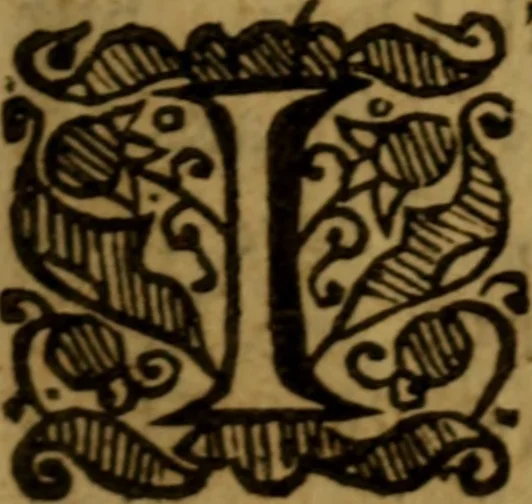An illustration from He probole tes aletheias, or, The bul-warke of truth : being a treatise of God, of Jesus Christ, of the Holy Ghost, and of the Trinity in unity, against atheists and hereticks, 1657, leaf 36