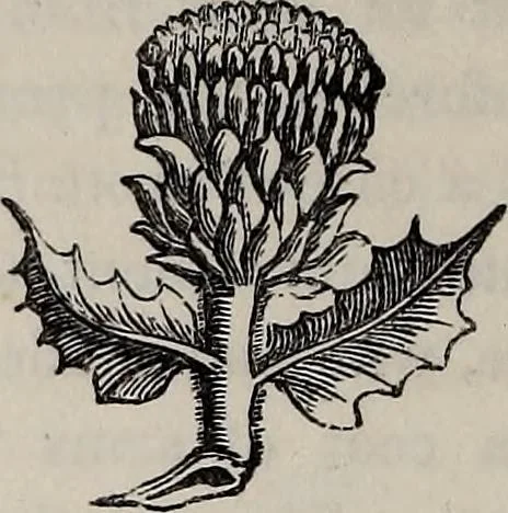 An illustration from The Herald and genealogist, 1865, leaf 414