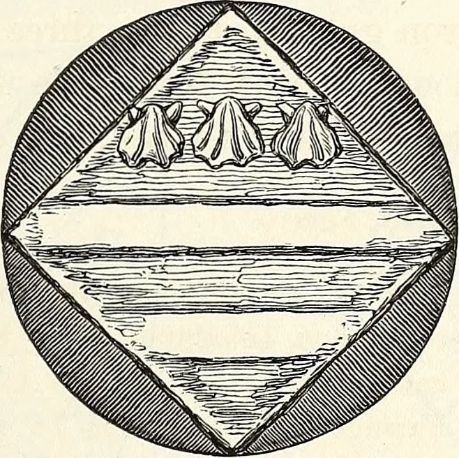 An illustration from The Herald and genealogist, 1865, leaf 236