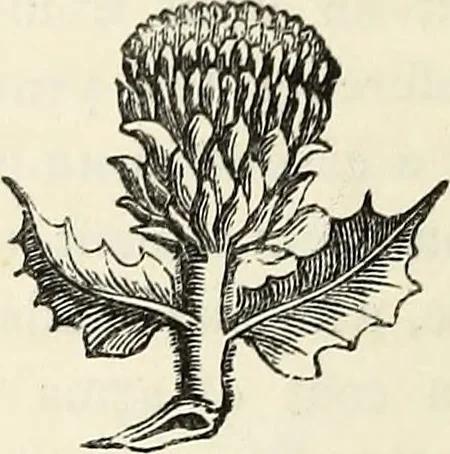 An illustration from The Herald and genealogist, 1865, leaf 415
