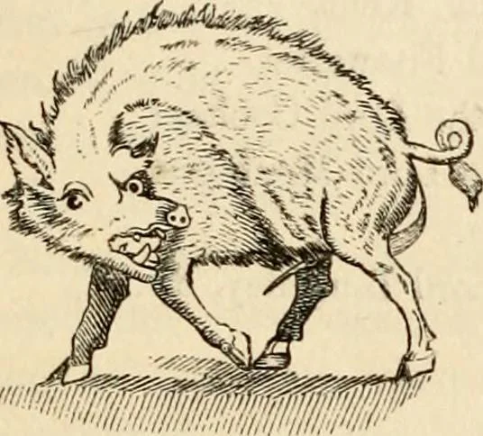 An illustration from The Herald and genealogist, 1862, leaf 509