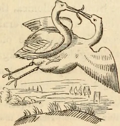 An illustration from The Herald and genealogist, 1862, leaf 517