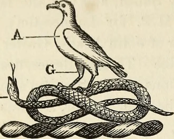 An illustration from The Herald and genealogist, 1870, leaf 290