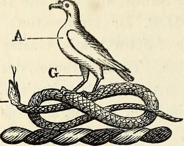 An illustration from The Herald and genealogist, 1870, leaf 288