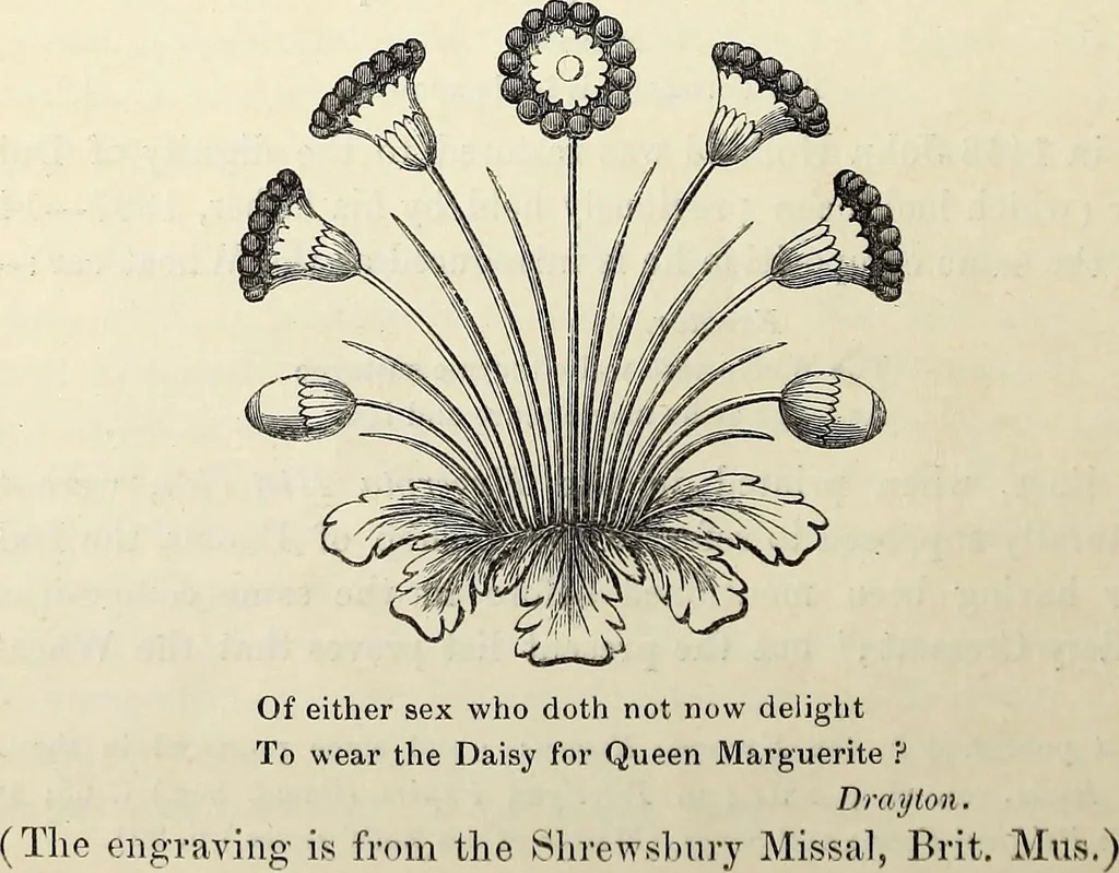 An illustration from The Herald and genealogist, 1873, leaf 351