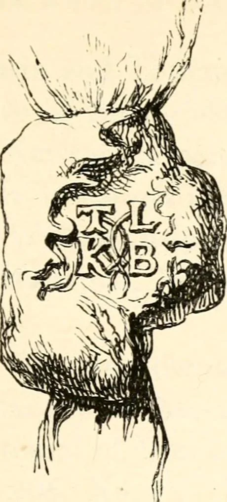 An illustration from The Herald and genealogist, 1862, leaf 494