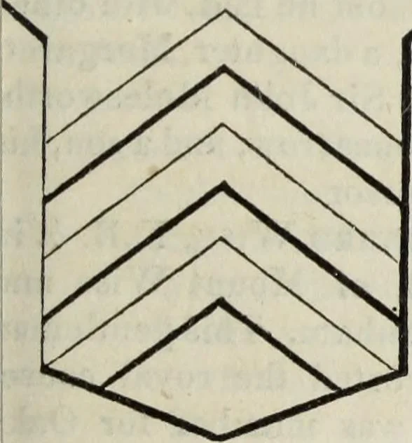 An illustration from A genealogical and heraldic history of the commoners of Great Britain and Ireland enjoying territorial possessions or high official rank, but uninvested with heritable honours, 1836, leaf 47