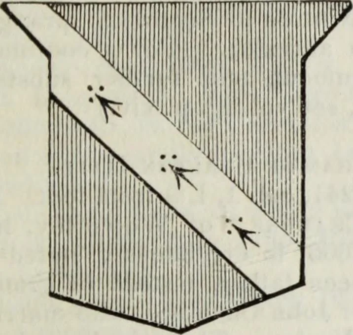 An illustration from A genealogical and heraldic history of the commoners of Great Britain and Ireland enjoying territorial possessions or high official rank, but uninvested with heritable honours, 1836, leaf 15
