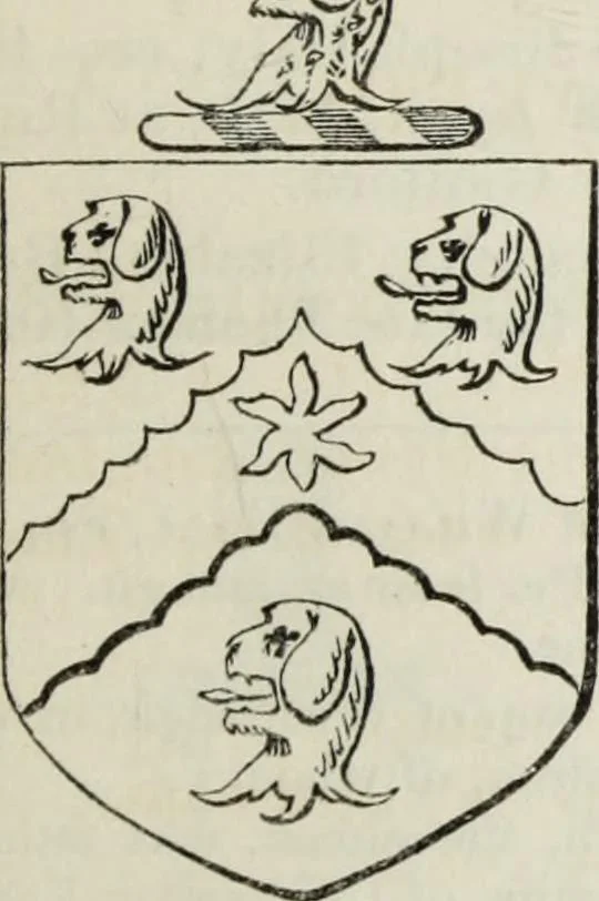 An illustration from A genealogical and heraldic history of the commoners of Great Britain and Ireland enjoying territorial possessions or high official rank, but uninvested with heritable honours, 1836, leaf 767