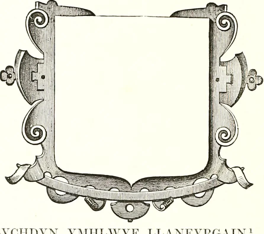 An illustration from Heraldic visitations of Wales and part of the Marches; between the years 1586 and 1613, under the authority of Clarencieux and Norroy, two kings at arms, 1846, leaf 333
