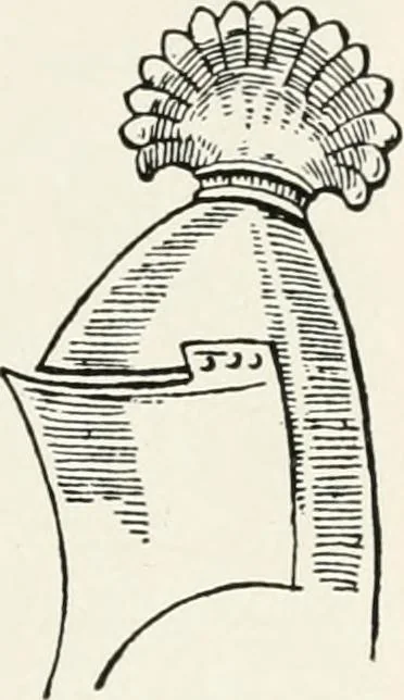 An illustration from Heraldry as art : an account of its development and practice, chiefly in England, 1907, leaf 145