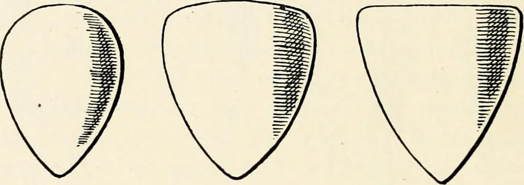 An illustration from Heraldry as art : an account of its development and practice, chiefly in England, 1907, leaf 36