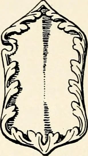 An illustration from Heraldry as art : an account of its development and practice, chiefly in England, 1907, leaf 48